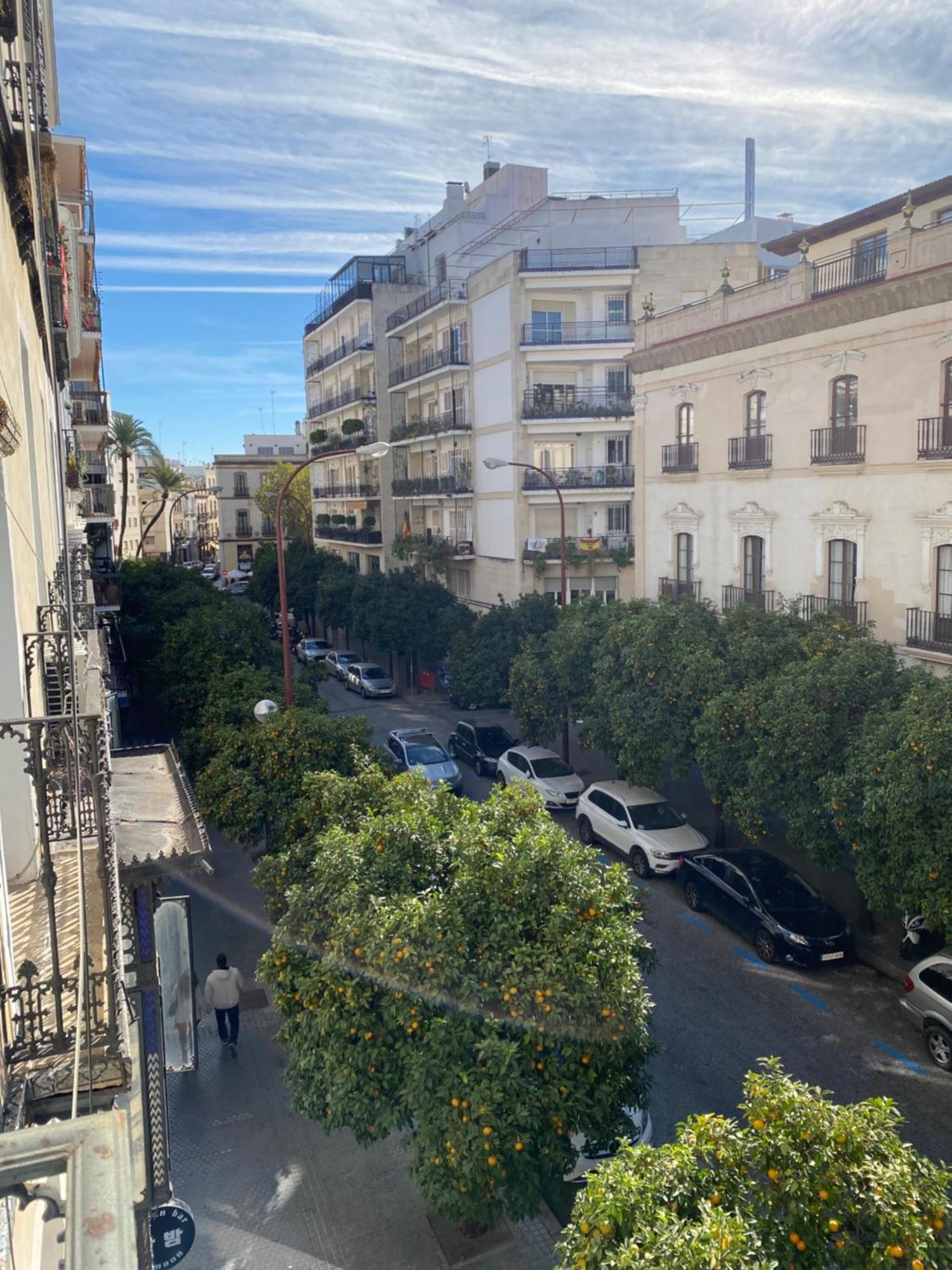 Apartamento centro Sevilla Dış mekan fotoğraf